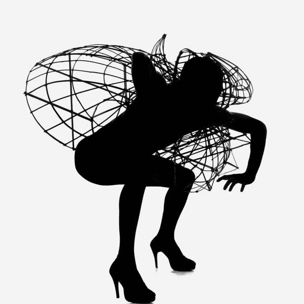 SWARUP DUTTA | Armour of Weaknesses