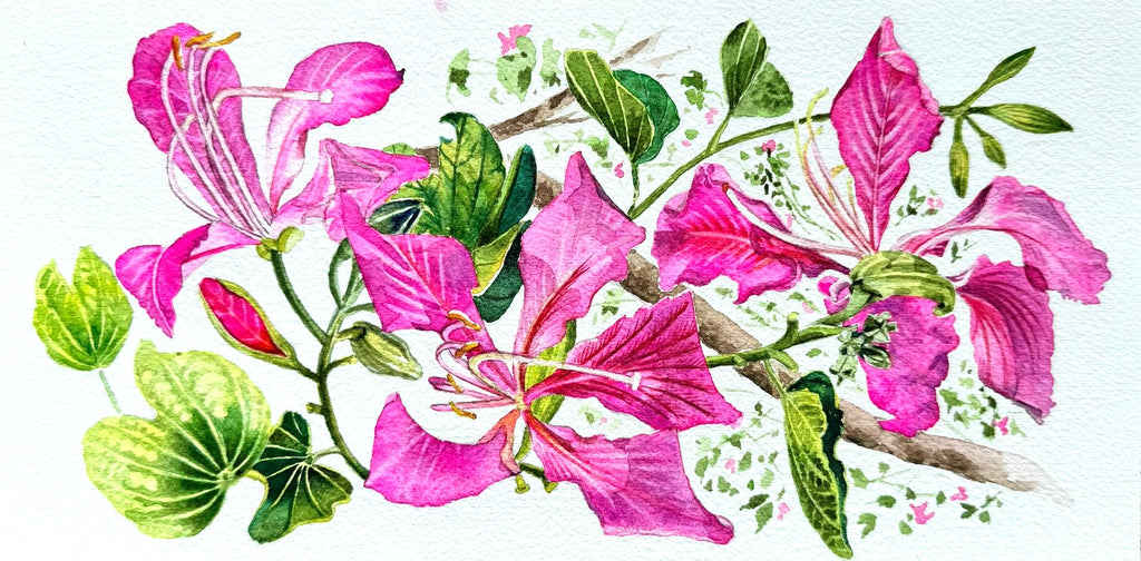 FLORESCENCE: A CITY IN FLOWER: Watercolours by Swati Chandak Sharma