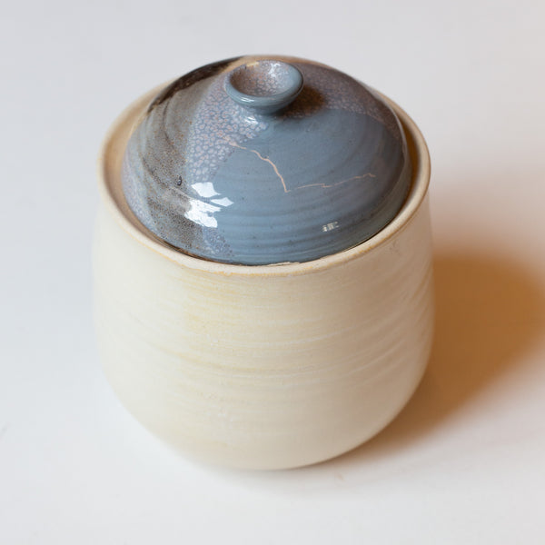 Dhanashree Kelkar's Ceramic Jar