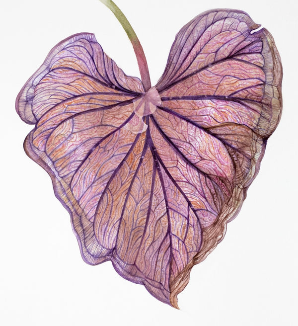 Workshop: Learn Painting with Watercolour with Shefali Upadhyay