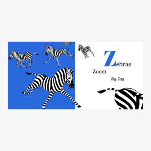 Tara Books | Alphabets are Amazing Animals