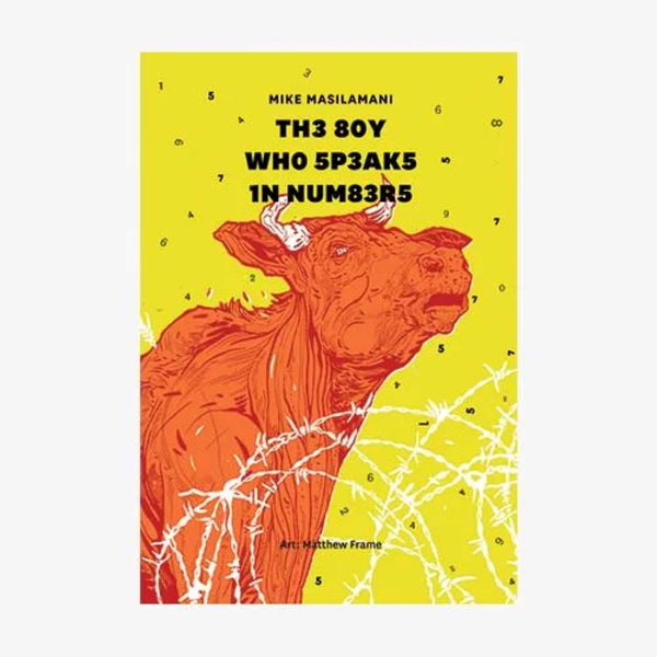 Tara Books | The Boy Who Speaks in Numbers