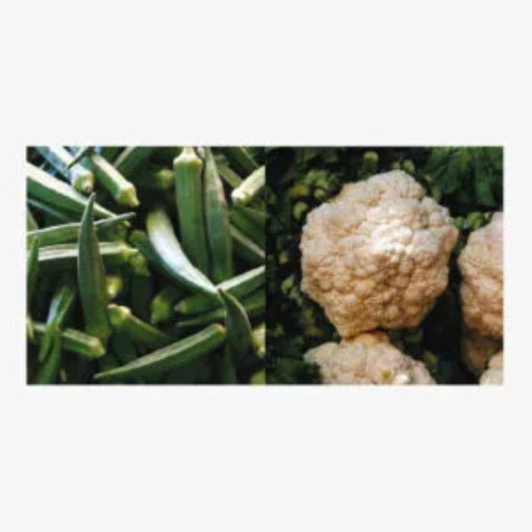 Tara Books | Vegetables of India