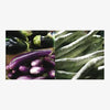 Tara Books | Vegetables of India