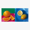 Tara Books | Fruits of India