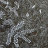 Birth of Creatures